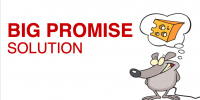 big promise